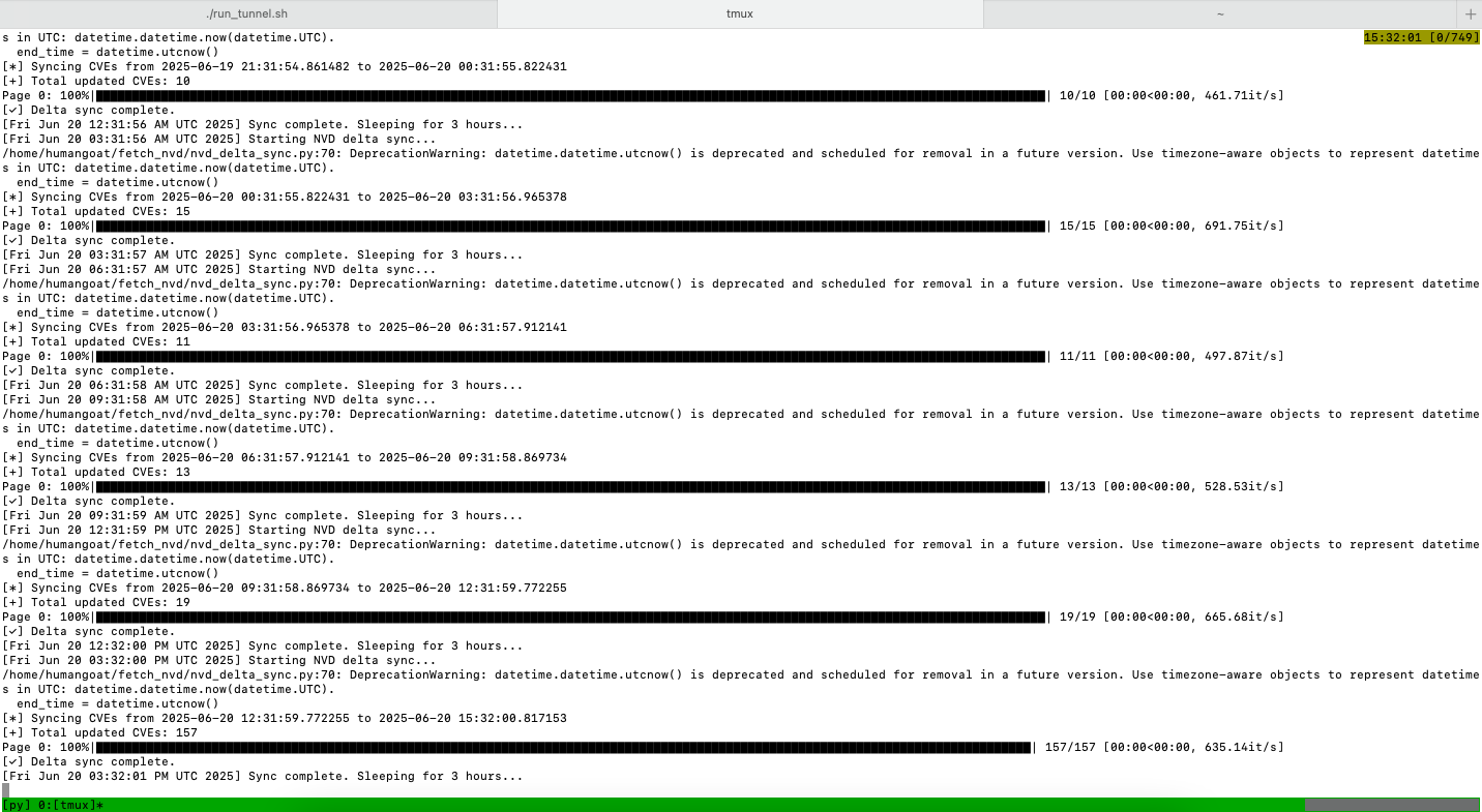 NVD Database Delta Sync